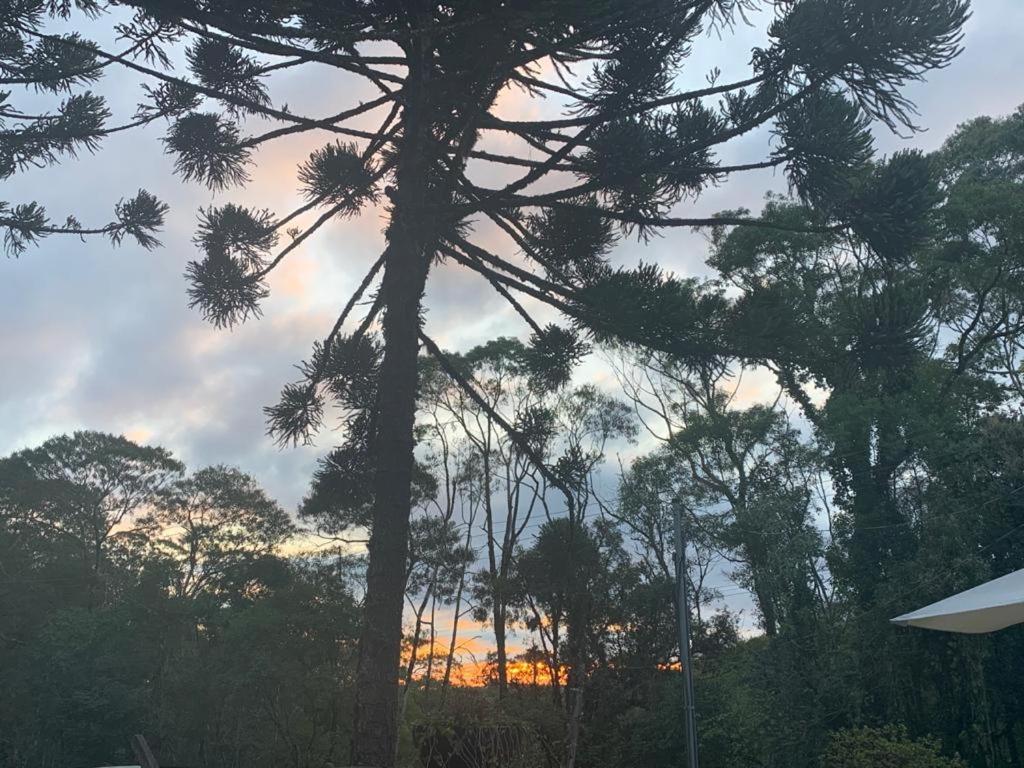 Casa De Campo Em Gramado Buitenkant foto
