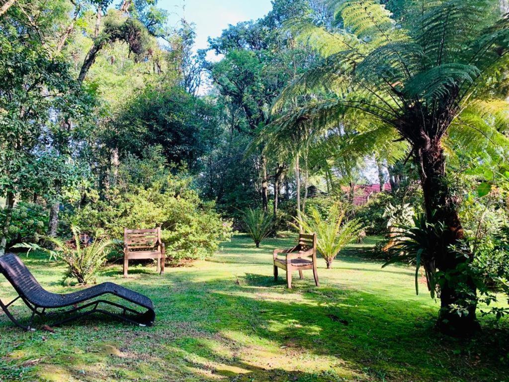 Casa De Campo Em Gramado Buitenkant foto